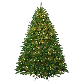 Medium Christmas Trees